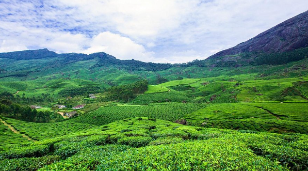 Munnar
