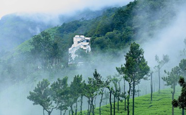 Misty Mountain Resort, Munnar , Kerala, India