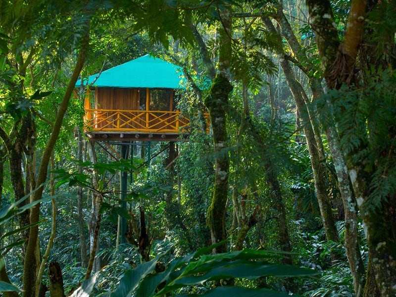 Kerala Tree House Packages with Houseboat – 4 days/3 nights