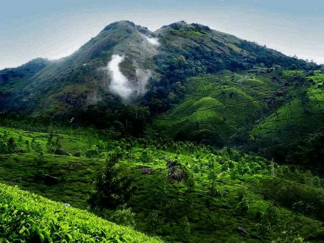 Kerala Luxury Package – 05 Days/04 Nights