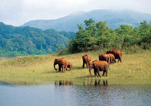 Explore Kerala Luxury Package – 11 days/10 nights