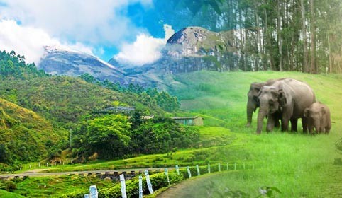 Magical Kerala Luxury Package – 10 days/09 nights