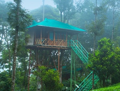 Tree House and Hill station Package – 5 Days/4 Nights