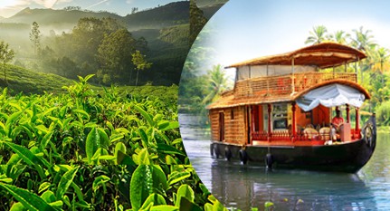Hill and Backwaters Kerala Holiday Package – 03 days/02 nights
