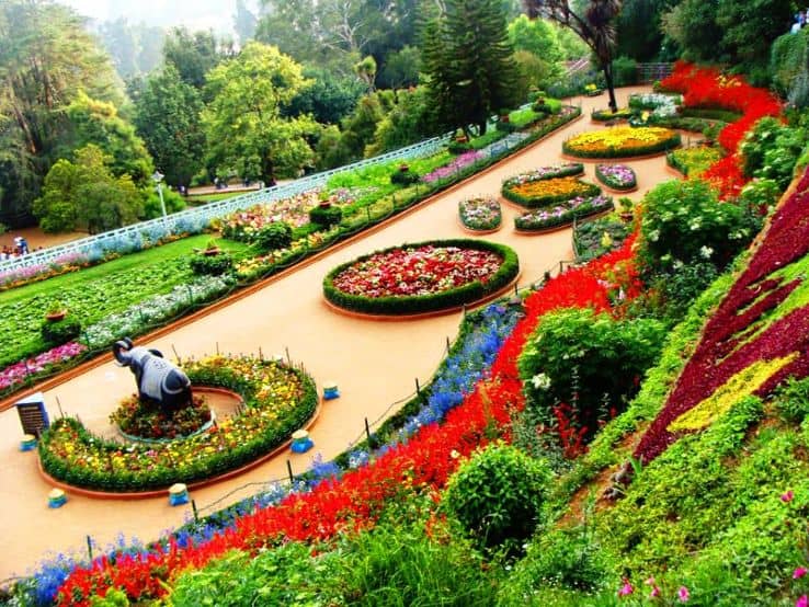 Nilgiri Ooty Package – 3 Days/2 Nights