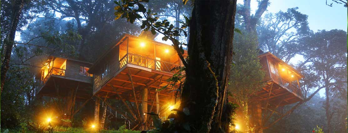 Misty Munnar Tree House Package – 03 Days/02 Nights