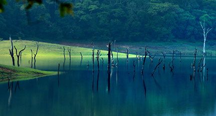 Thekkady, Kerala