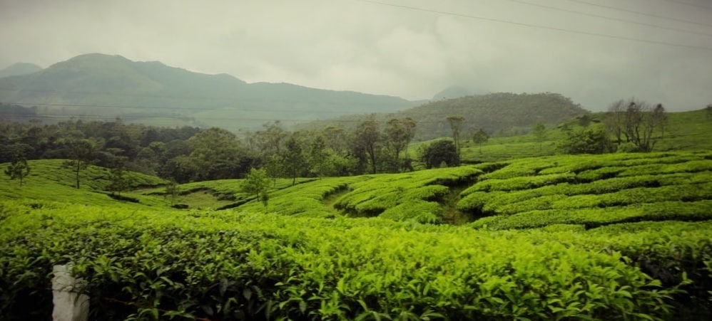 Best Kerala Monsoon Honeymoon Package – 6 Days/5 Nights