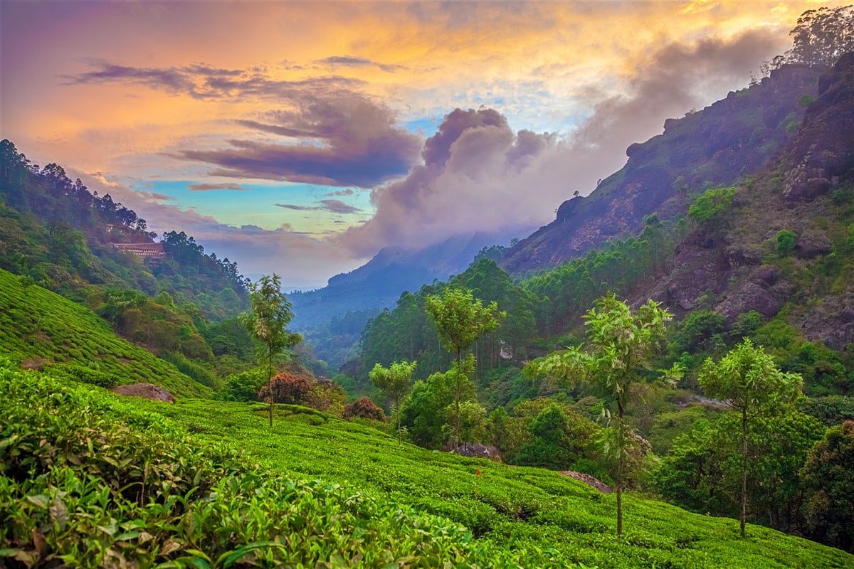 Vibrant Kerala Super Luxury Package – 10 Days/09 Nights