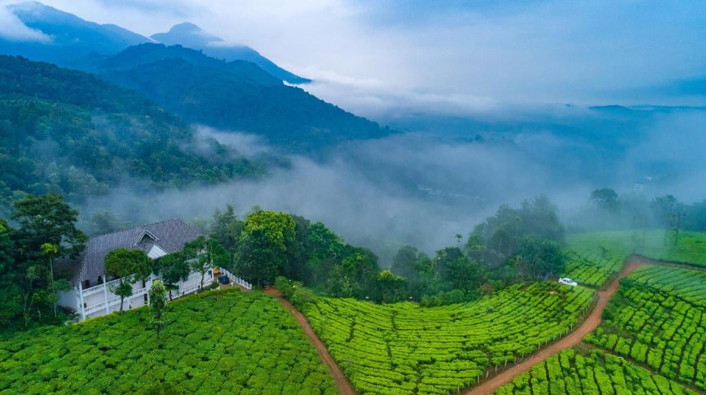 Why Munnar is Important in Kerala Tour Packages